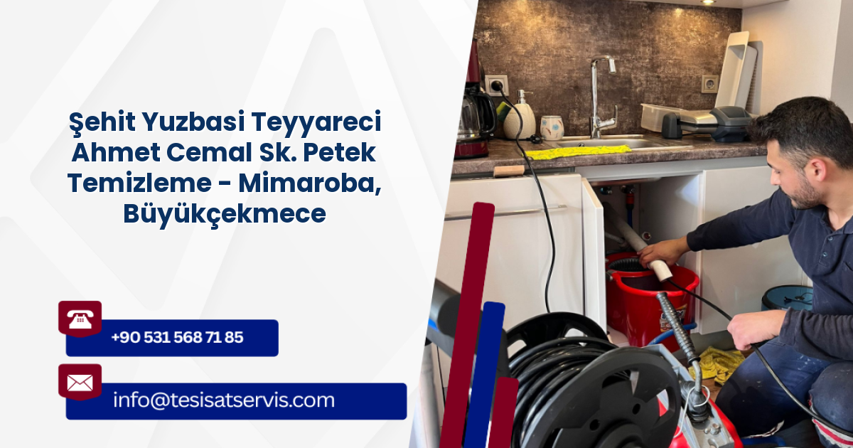 Şehit Yuzbasi Teyyareci Ahmet Cemal Sk. Petek Temizleme - Mimaroba, Büyükçekmece