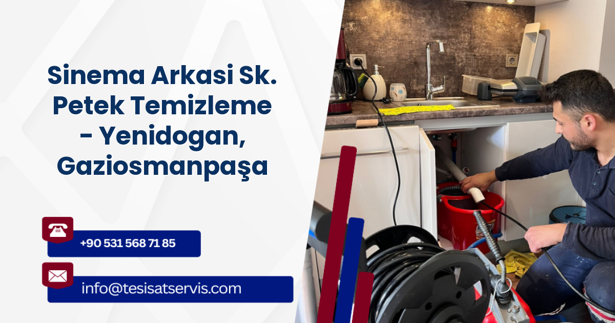 Sinema Arkasi Sk. Petek Temizleme - Yenidogan, Gaziosmanpaşa