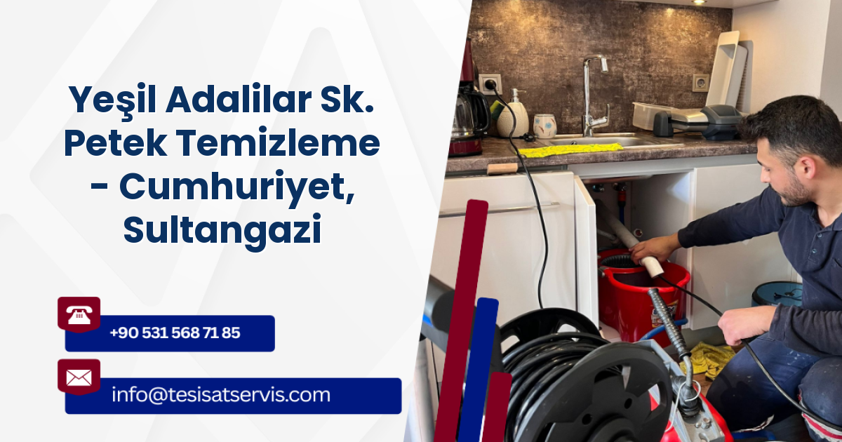 Yeşil Adalilar Sk. Petek Temizleme - Cumhuriyet, Sultangazi